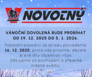 Vánoční dovolená