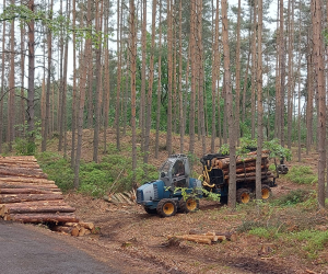 Demo in Latvia