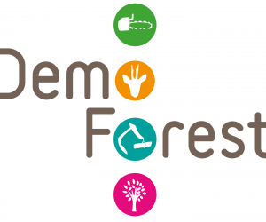 Demo-Forest 2024