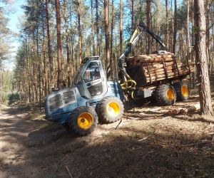 Forest Show in Poland